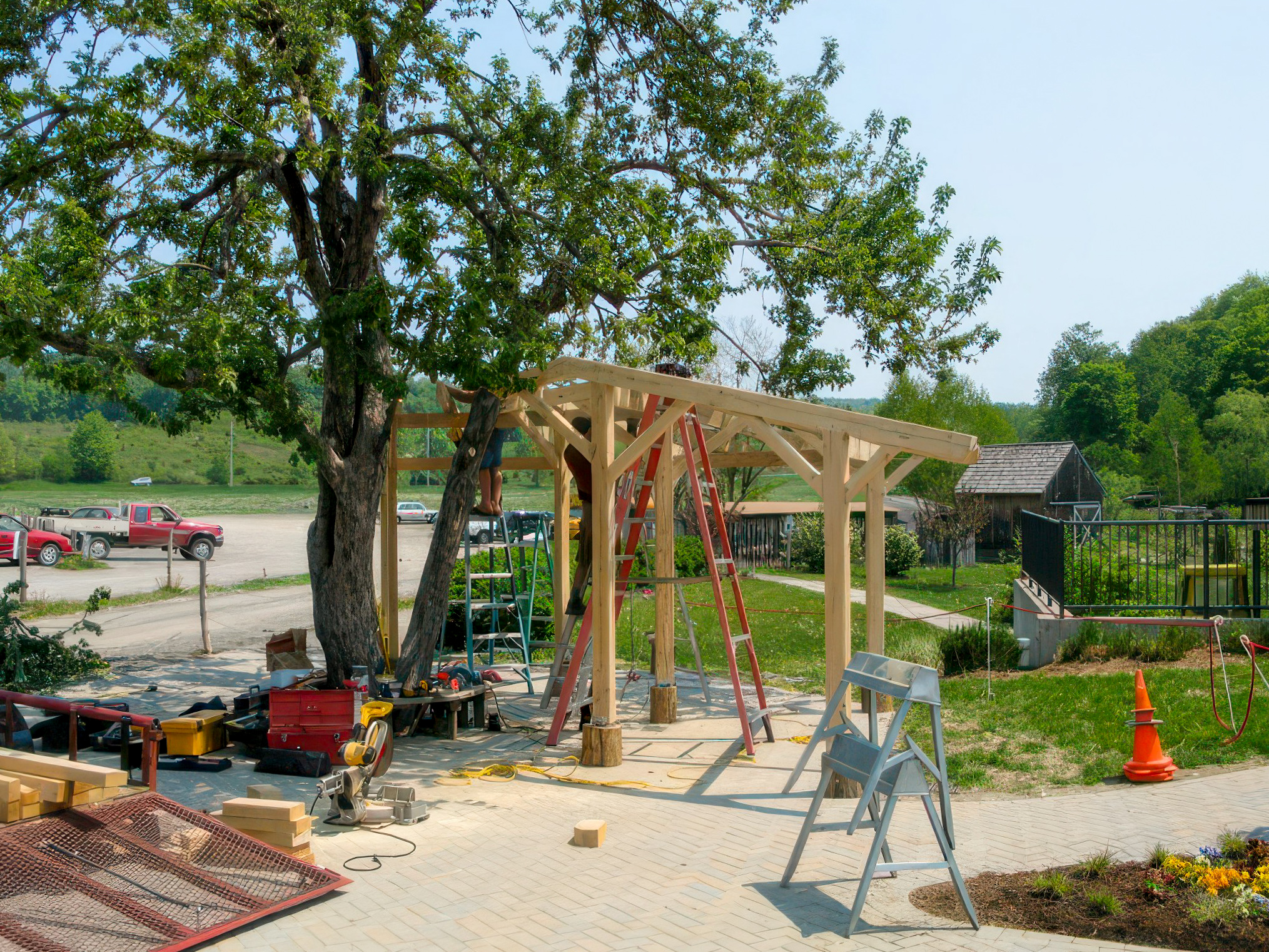 HVS Bus Shelter image 6