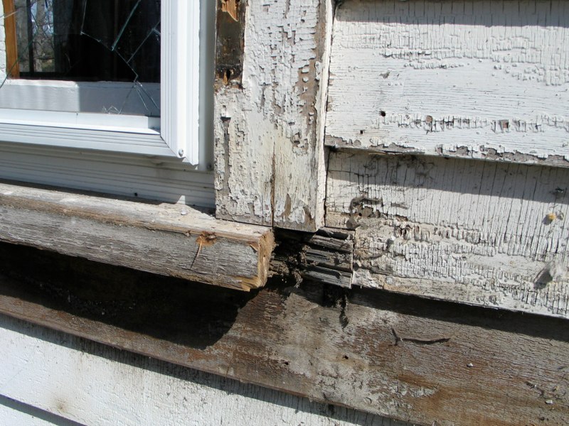 C. M. Residence image 14