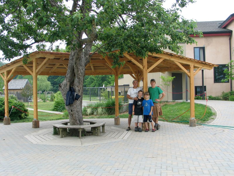 HVS Bus Shelter image 2