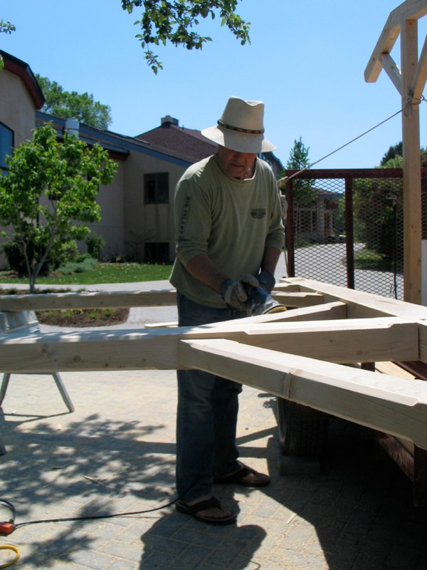 HVS Bus Shelter image 4