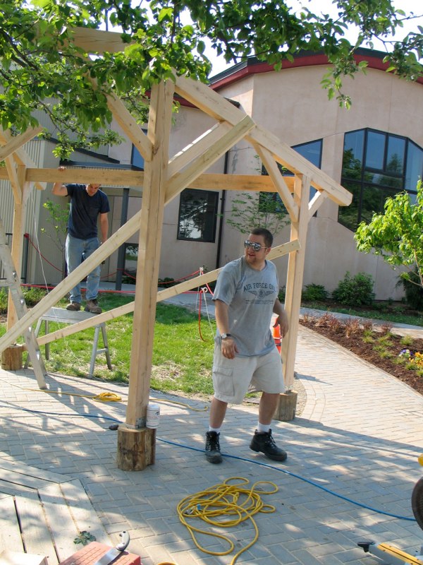 HVS Bus Shelter image 6