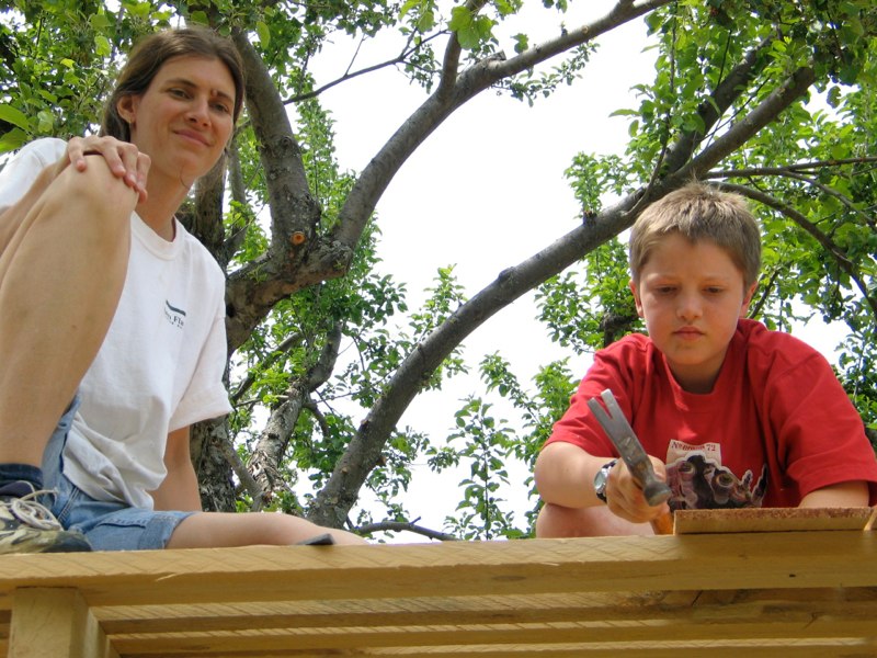 HVS Bus Shelter image 15