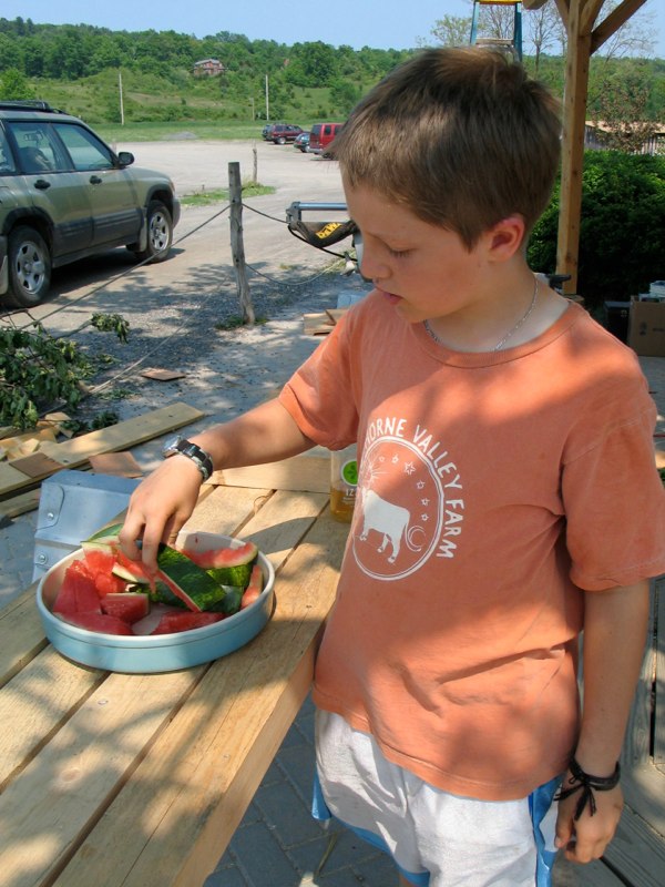 HVS Bus Shelter image 22