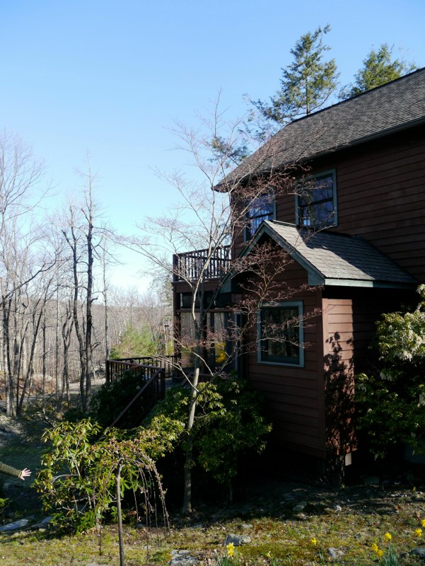 M. P. House Addition image 3